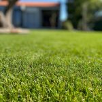 Différence entre gazon synthétique et pelouse artificielle