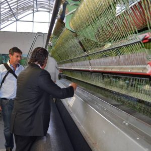 Le prix des gazons synthétiques