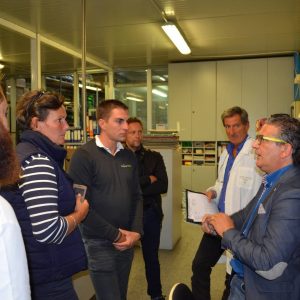 Les garanties du gazon synthétique