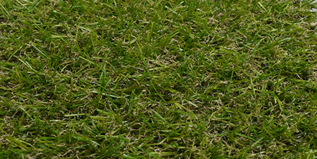 détail du gazon reality-st en 2010