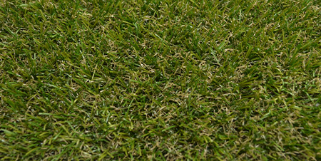 détail du gazon reality-st en 2016