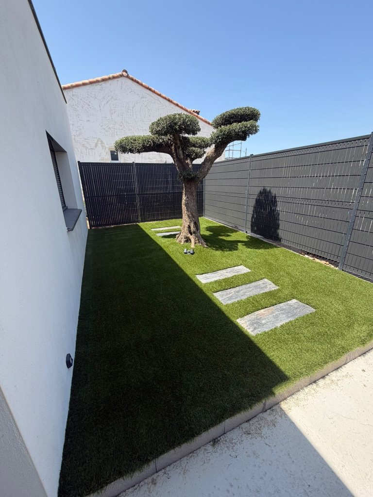 Aménagement d’un jardin avec un olivier